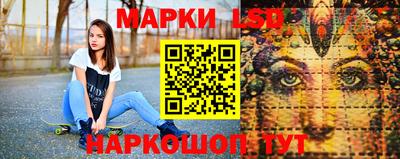 шишки Будённовск