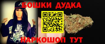 шишки Будённовск