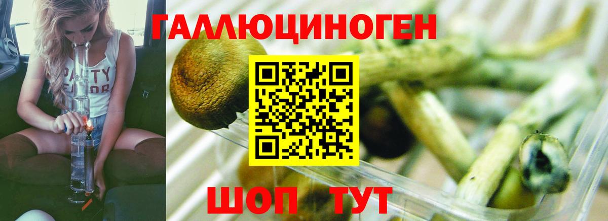 Псилоцибиновые грибы мухоморы Красный Сулин