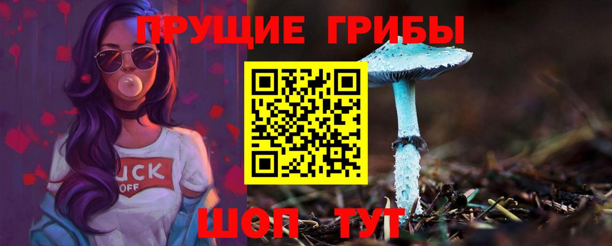 купить наркотик  Галлюциногенные грибы мухоморы  Вход с VPN  Красный Сулин 